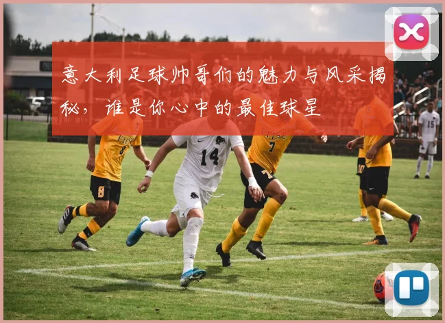 意大利足球帅哥们的魅力与风采揭秘，谁是你心中的最佳球星
